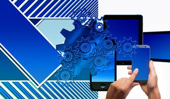 米兰体育在线-中国篮球联赛品牌建设及粉丝经济研究，国内篮球职业联赛