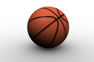 米兰体育app官网-中国篮球职业俱乐部青训人才培养路径探索，篮球青训队招聘条件